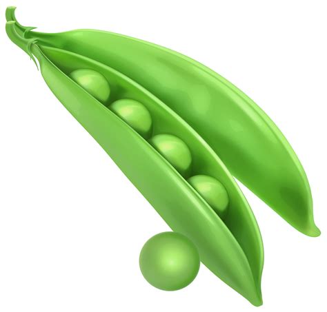 clip art peas|pea clip art images.